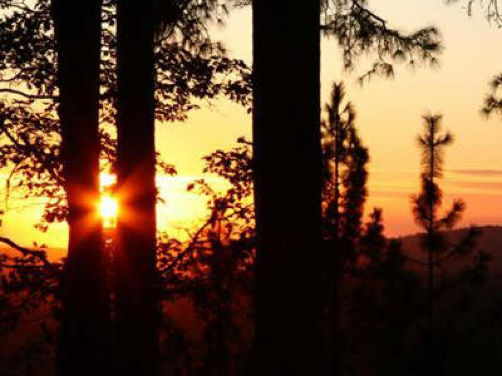 Sierra Sun Cloud Inn - Colfax (Adults Only) Luaran gambar
